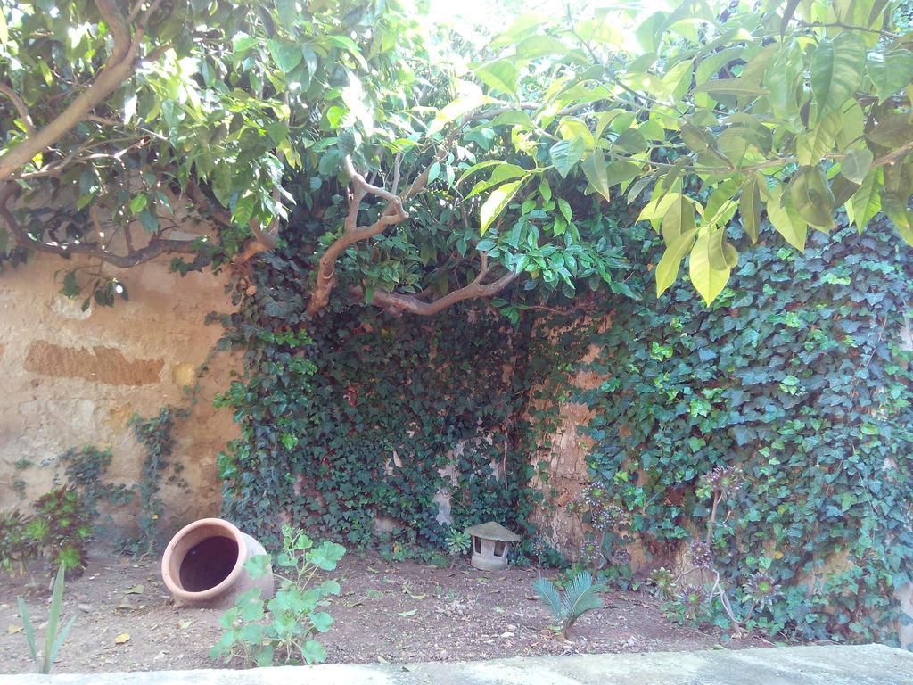 Baglio Bellavista Bed & Breakfast Torre Nubia Dış mekan fotoğraf